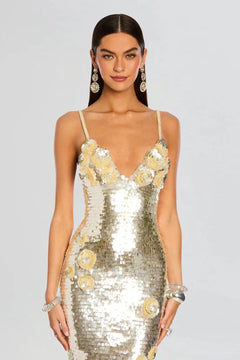 INES EMBROIDERED DRESS