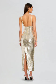 INES EMBROIDERED DRESS
