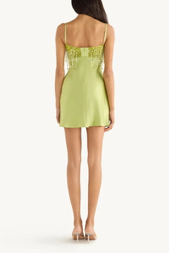 YASMIN HAND BEADED MINI DRESS
