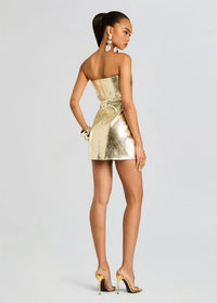 RETROFETE SYLVIE LEATHER DRESS IN GOLD