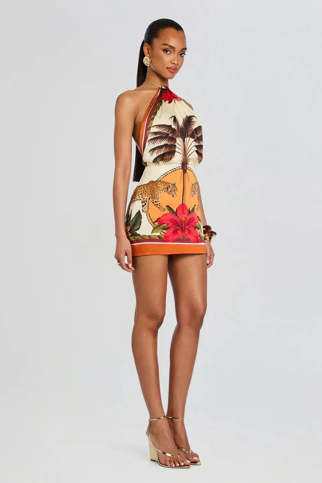CYMBELINE DRESS