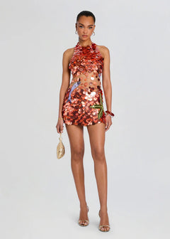 DOROTHY EMBROIDERED DRESS