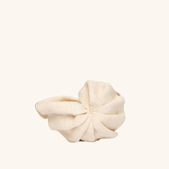 THE ORIGAMI NAUTILUS MINI