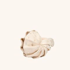 THE ORIGAMI NAUTILUS MINI