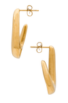 SENIA ALICE EARRINGS IN GOLD