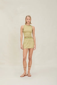 DEVON WINDSOR LANE SKIRT IN PISTACHIO