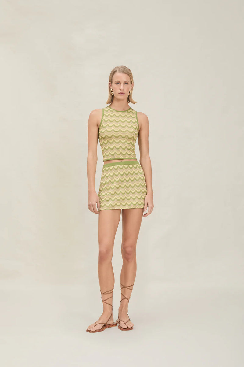 DEVON WINDSOR LANE SKIRT IN PISTACHIO