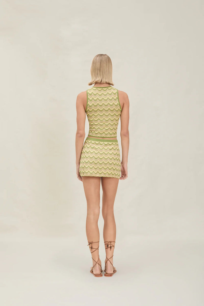 DEVON WINDSOR LANE SKIRT IN PISTACHIO