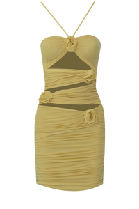 COARI DRESS