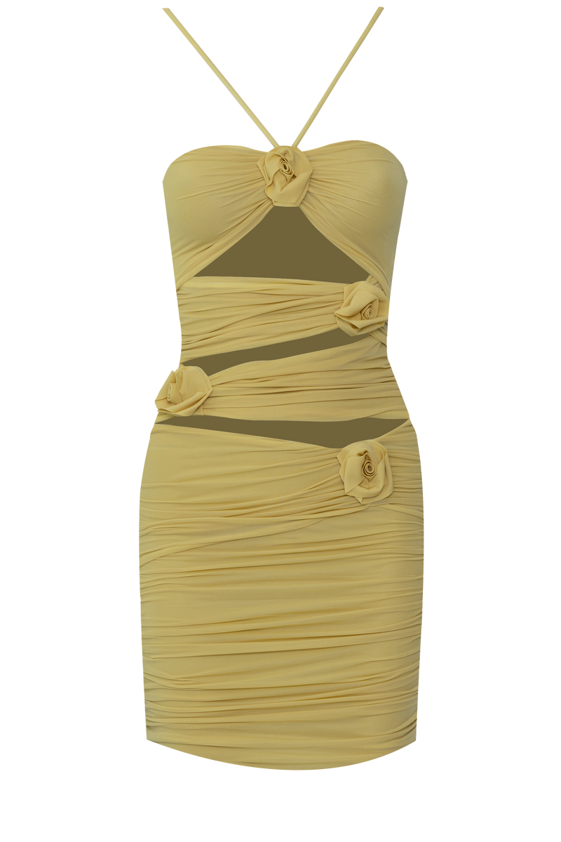 COARI DRESS