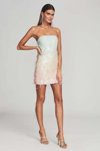 RETROFETE ANASTASIA DRESS IN FEATHER