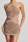 RETROFETE VIOLA DRESS IN SILVER/NUDE